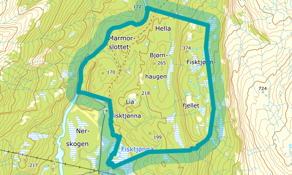 Kart over Fisktjønna