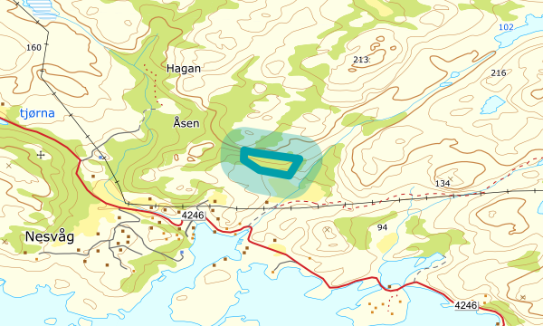 Kart over Nesvåg