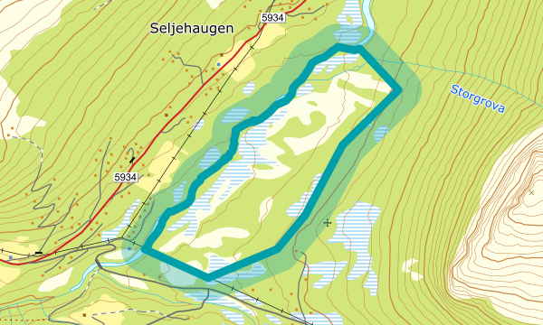 Kart over Seljebotsmyrane