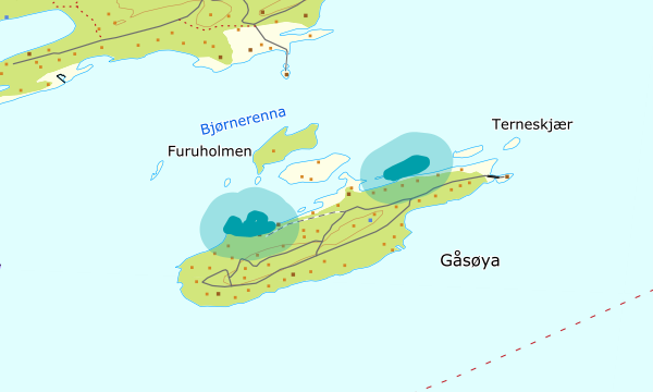 Kart over Gåsøya